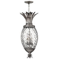 Hinkley Plantation 4 Light Pendant Light in Polished Antique Nickel