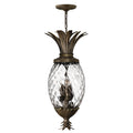 Hinkley Plantation 4 Light Pendant Light in Pearl Bronze