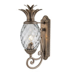 Hinkley Plantation Outdoor Medium Wall Lantern 1 Light in Burnished Bronze