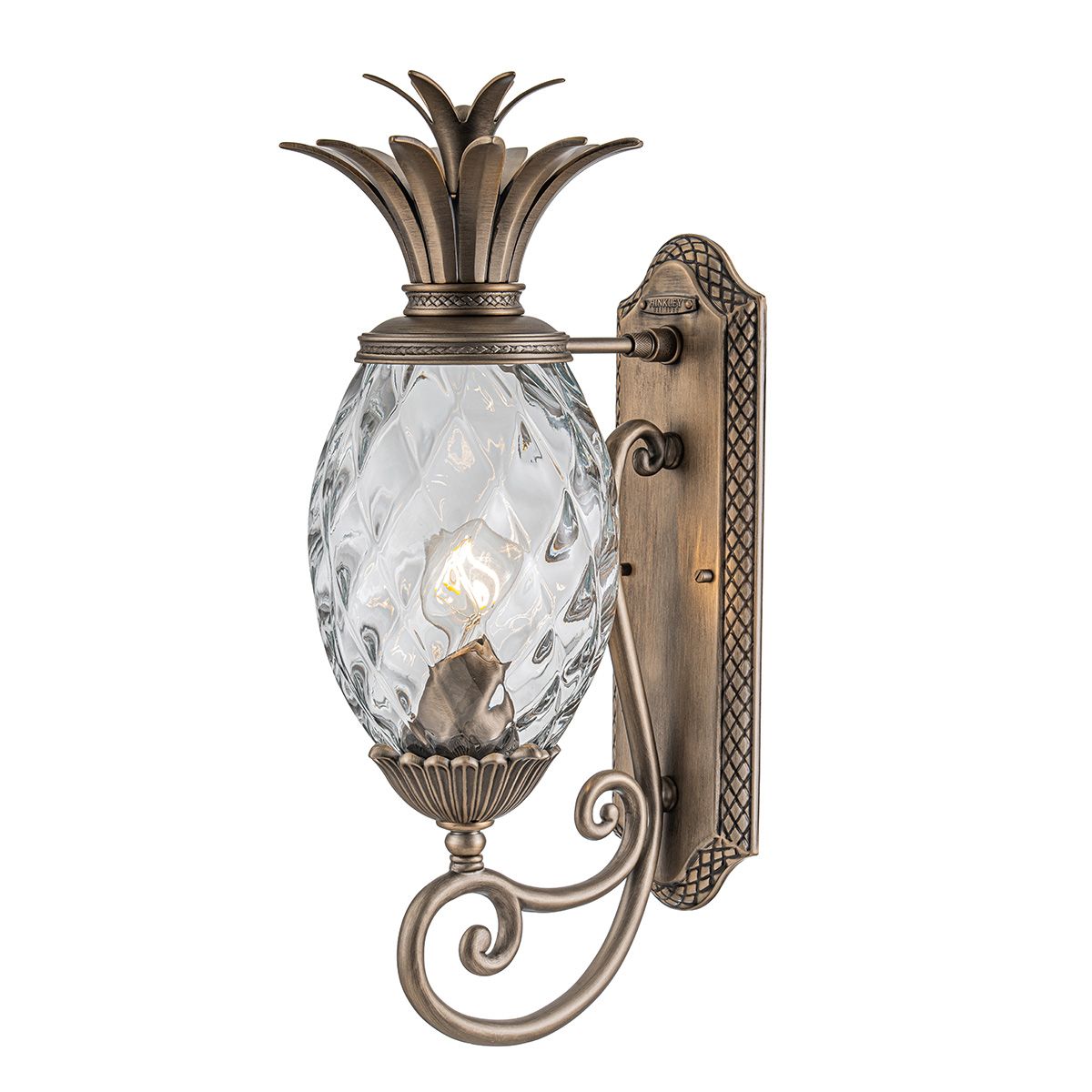 Hinkley Plantation Outdoor Medium Wall Lantern 1 Light in Burnished Bronze