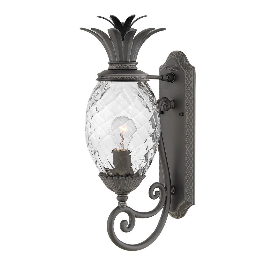 Hinkley Plantation Outdoor Medium Wall Lantern in Museum Black