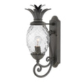 Hinkley Plantation Outdoor Medium Wall Lantern in Museum Black