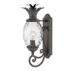 Hinkley Plantation Outdoor Medium Wall Lantern in Museum Black