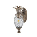Hinkley Plantation Outdoor Small Wall Lantern in Burnished Bronze