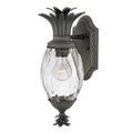 Hinkley Plantation Outdoor Small Wall Lantern in Museum Black