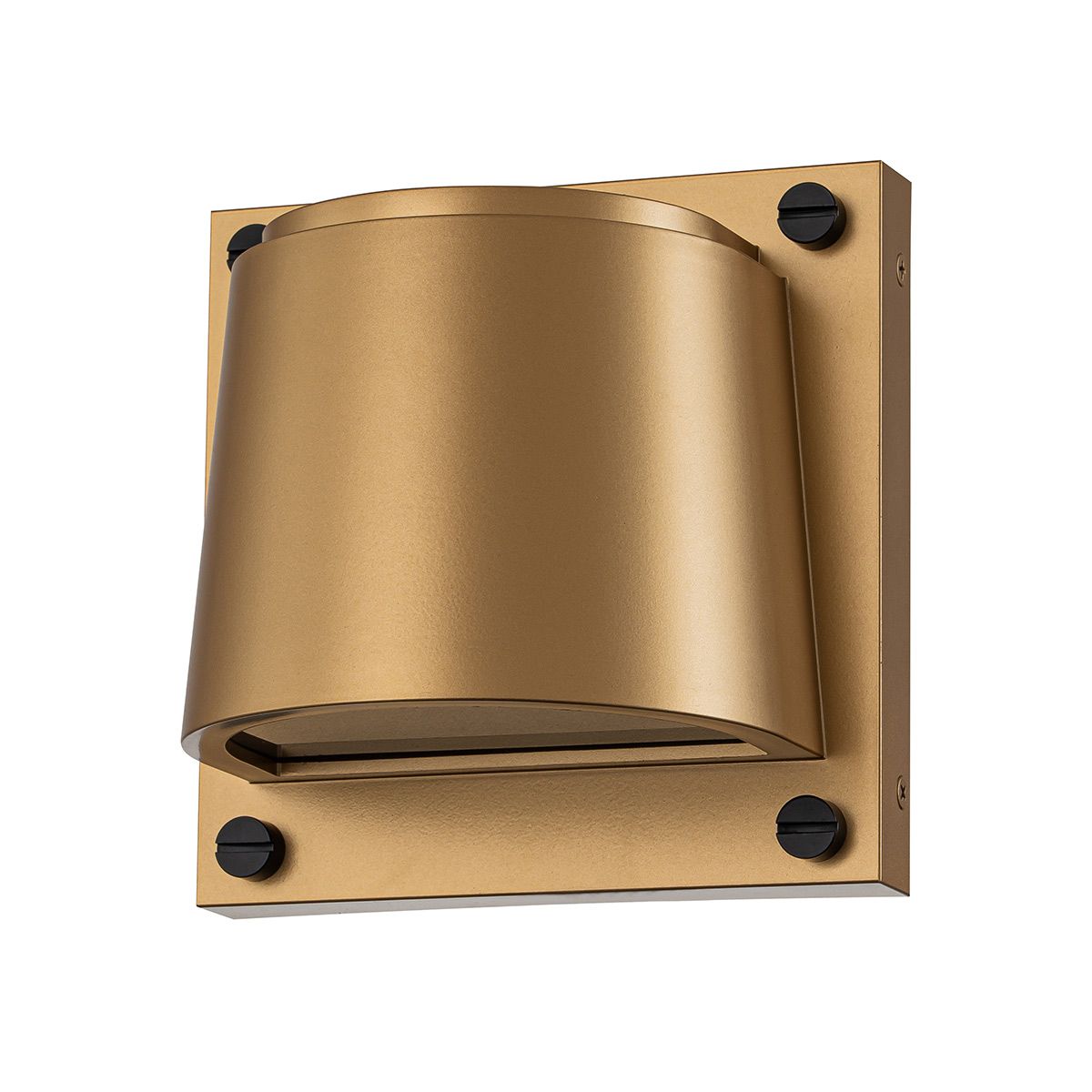 Hinkley Scout Outdoor Small Wall Light in Painted Heritage Brass