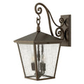 Hinkley Trellis Large Outdoor Wall Lantern in Regency Bronze