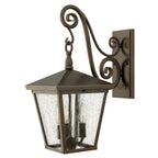 Hinkley Trellis Medium Outdoor Wall Lantern in Regency Bronze