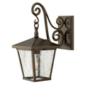 Hinkley Trellis Small Outdoor Wall Lantern in Regency Bronze