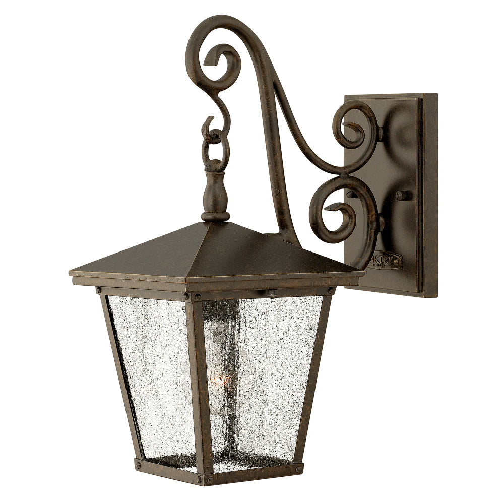 Hinkley Trellis Small Outdoor Wall Lantern in Regency Bronze
