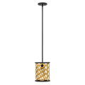 Hinkley Felix Mini 1 Light Pendant Light in Sunset Gold