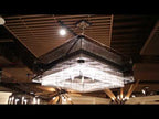 Troy Apollo 8 Light Bar Pendant Light in Dark Bronze