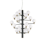 Ideal Lux 197333 Copernico 20 Light Multi-Arm Pendant Black Frame