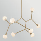 Kichler Cassius 8 Light Pendant in Champagne Bronze
