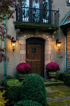 Kichler Venetian Rain Large Wall Lantern in Brushed Bronze