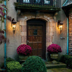Kichler Venetian Rain Medium 2 Light Outdoor Wall Lantern in Brushed Bronze