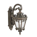 Kichler Tournai Medium Outdoor Wall Lantern in Londonderry