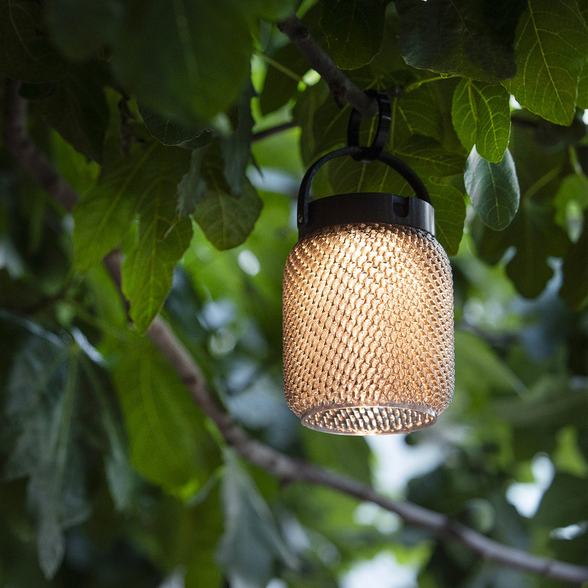 Lolie 200lm Hanging Solar Lantern 19.5 cm