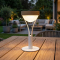 Tyble 200lm Solar Table Lamp 26 cm - Teak Duratek, White Aluminium and Acrylic Globe