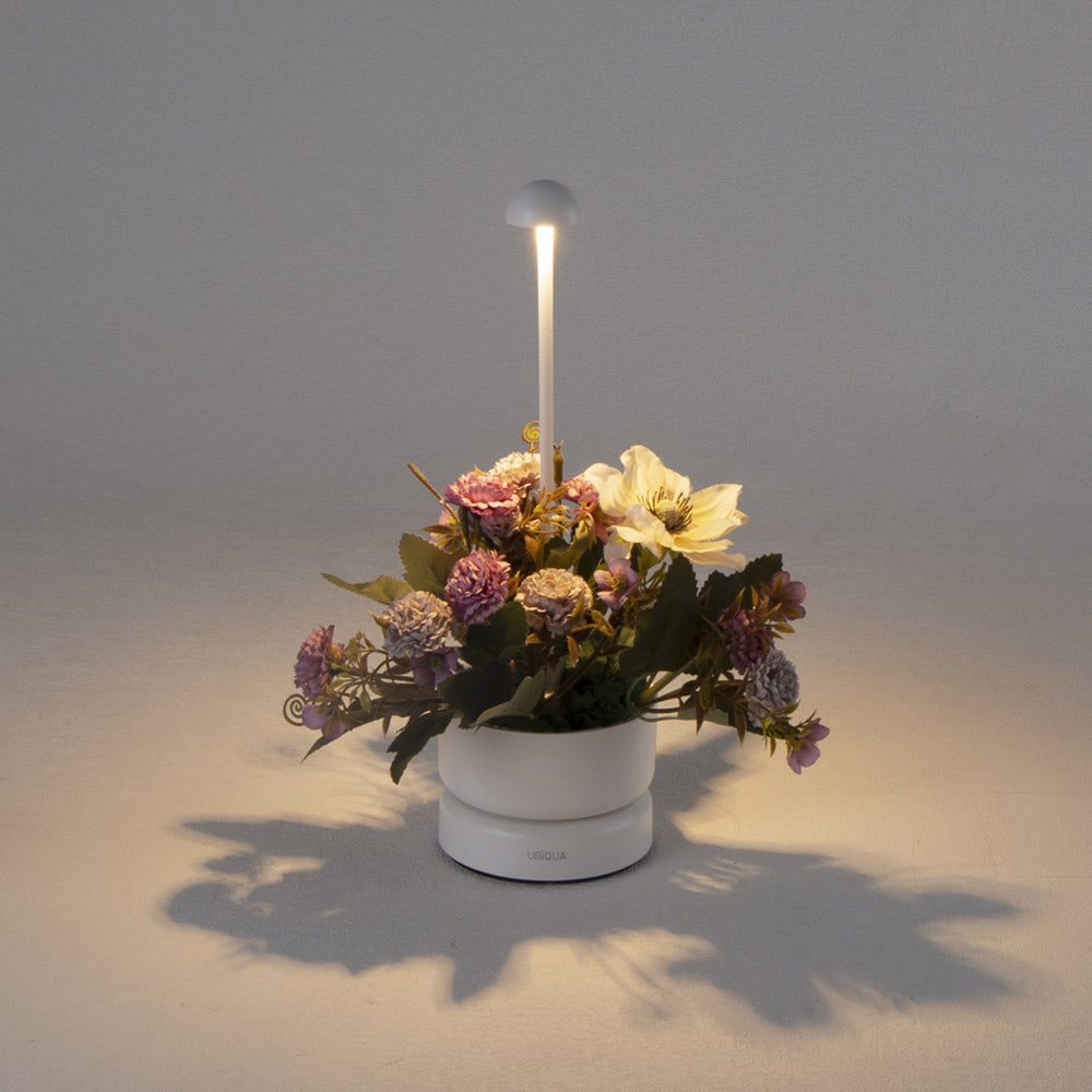 Novena Cesta Cordless Rechargeable Outdoor Portable Lamp