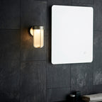 Novena Maceda 1 Light Outdoor Wall Light Brushed Silver Frosted Glass