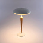 Novena Onice Cordless Rechargeable Table Lamp with Beechwood Stem, White