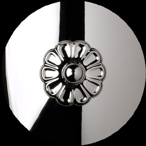 Polished Silver