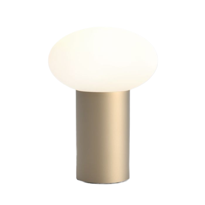 Portable Lights