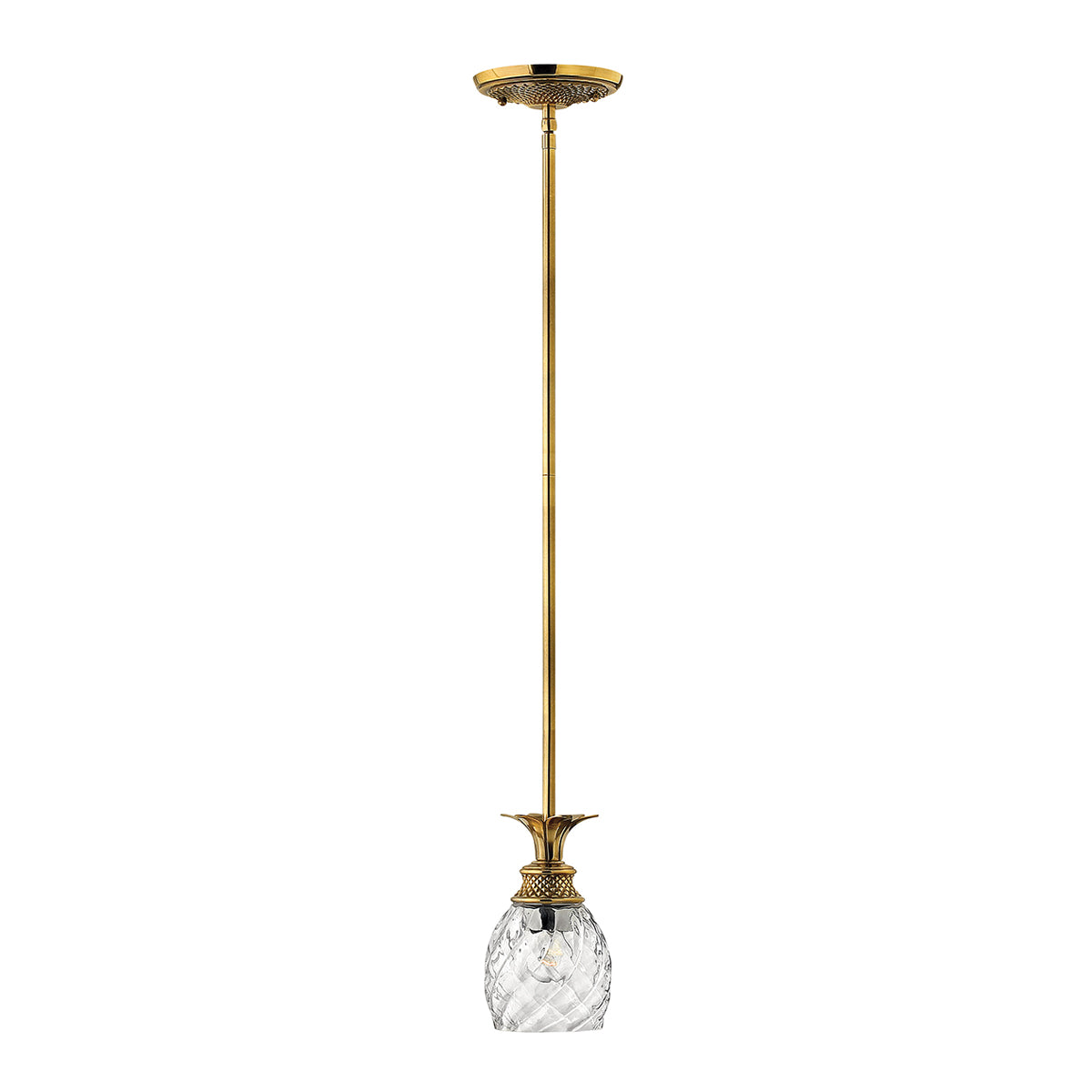 Hinkley Plantation Pendant Light in Burnished Brass