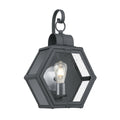 Quintiesse Heath Outdoor Medium Wall Lantern in Mottled Black