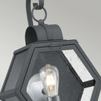 Quintiesse Heath Outdoor Medium Wall Lantern in Mottled Black