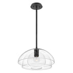 Quintiesse Lotus Pendant / Semi-Flush in Black