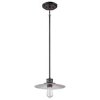 Quoizel Admiral 1 Light Mini Pendant Imperial Bronze QZ-ADMIRAL-P-IB