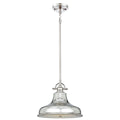 Quoizel Emery Medium Pendant Light in Imperial Silver