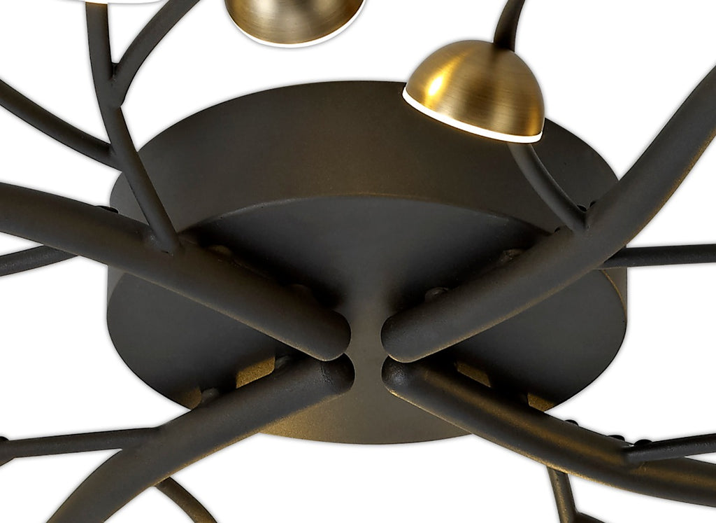 Regent Gennevil 28 Light Flush Ceiling Light in Black and Antique Brass