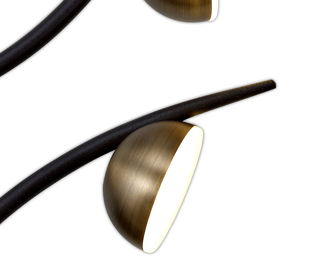 Regent Gennevil 5 Light Wall Light in Black and Antique Brass