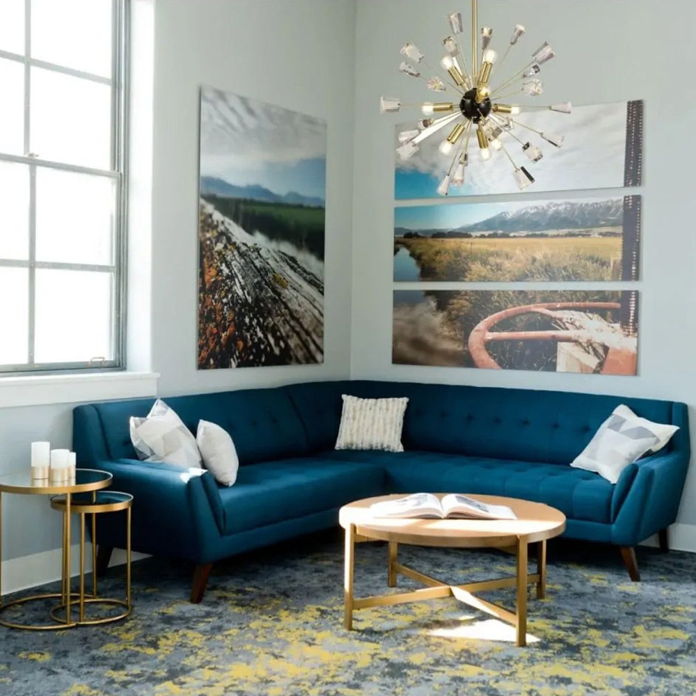 Regent Limoges Sputnik 9 Light Pendant Light in Brushed Gold and Gloss Black