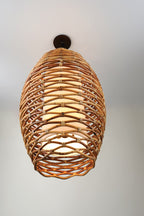 Troy Balboa Large 6 Light Pendant Light in Bronze