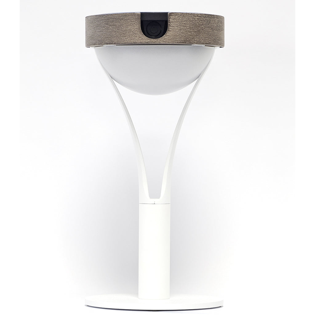 Tyble 200lm Solar Table Lamp 26 cm - Teak Duratek, White Aluminium and Acrylic Globe