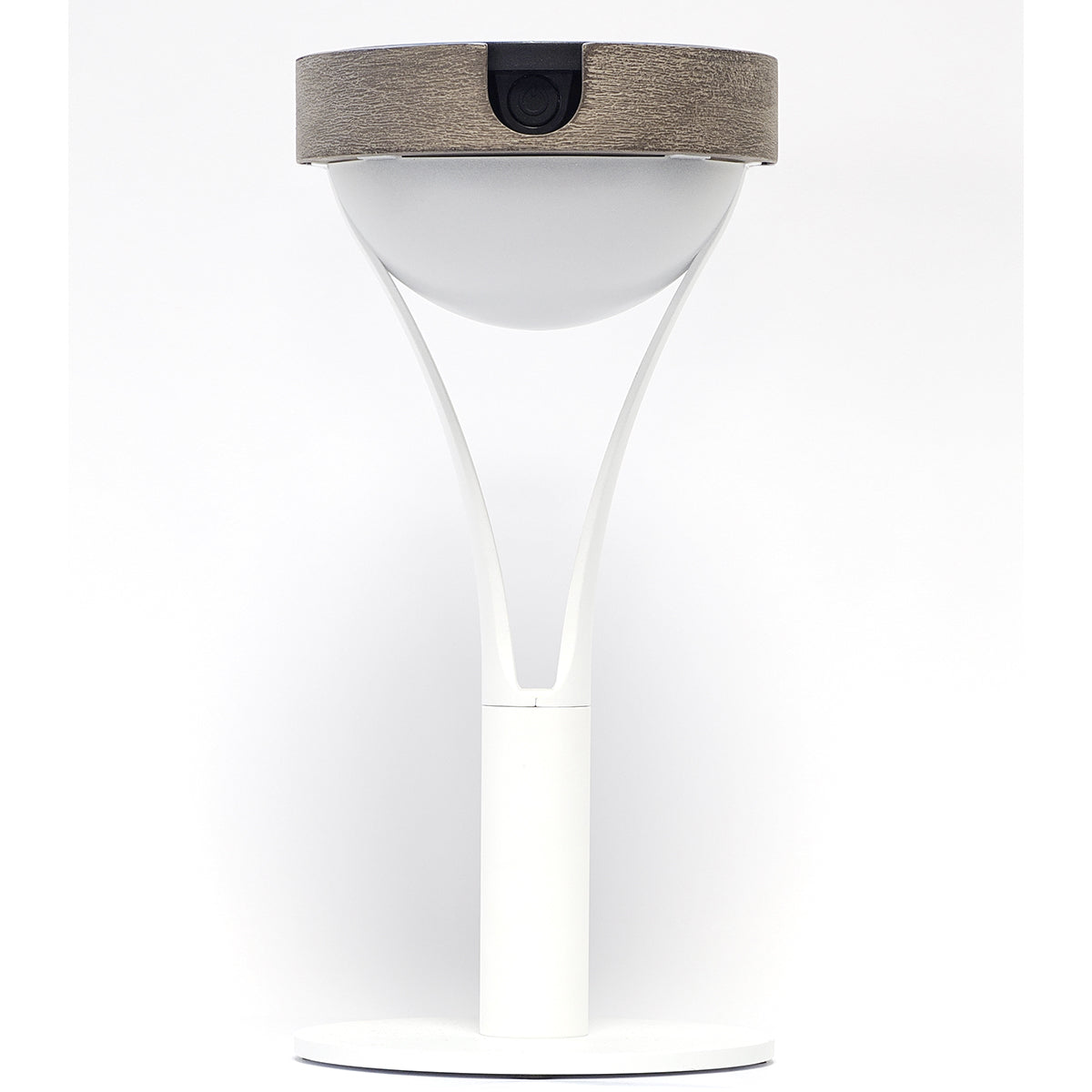Tyble 200lm Solar Table Lamp 26 cm - Teak Duratek, White Aluminium and Acrylic Globe