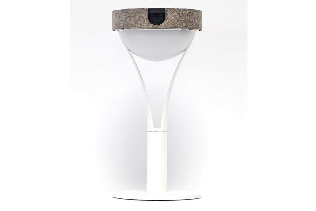 Tyble 200lm Solar Table Lamp 26 cm - Teak Duratek, White Aluminium and Acrylic Globe