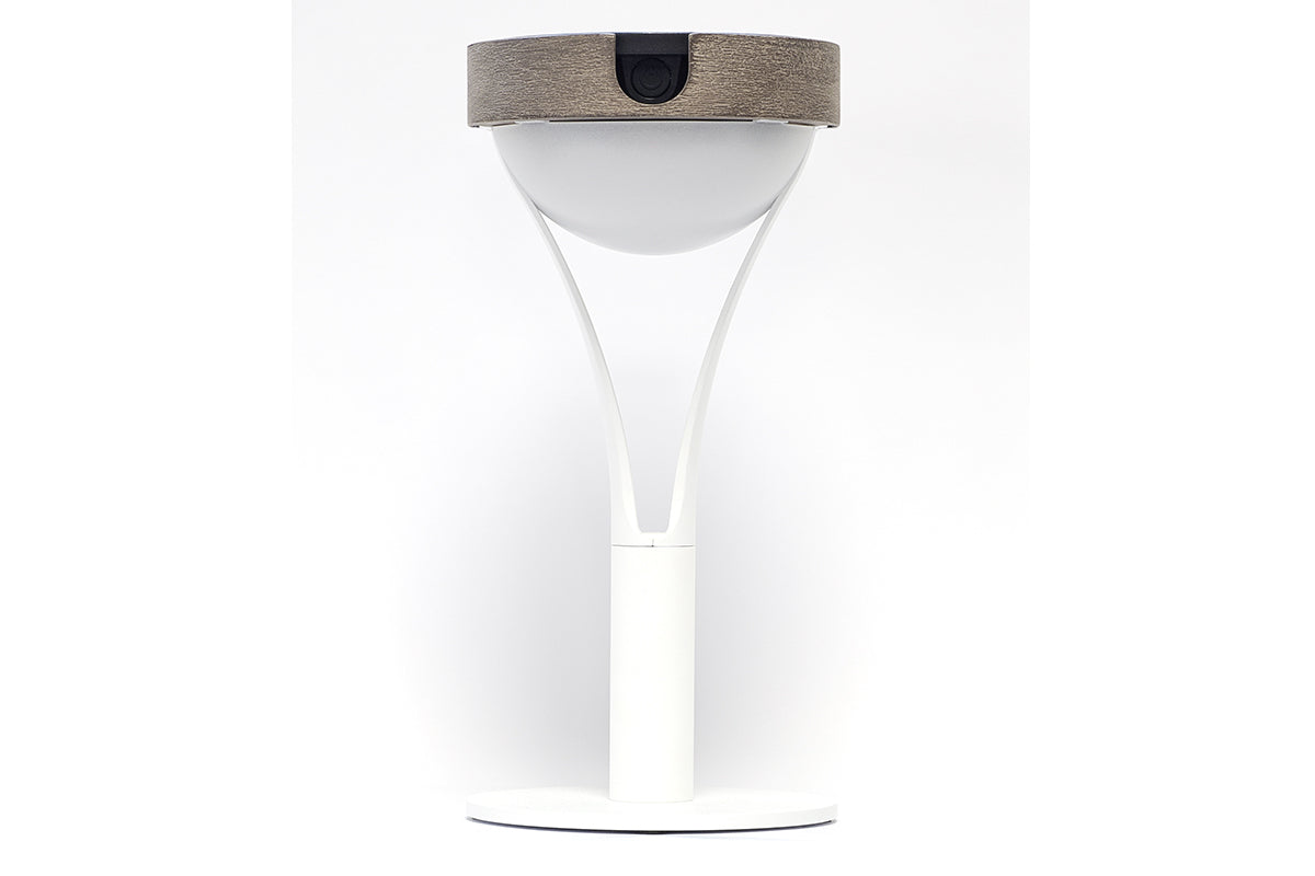 Tyble 200lm Solar Table Lamp 26 cm - Teak Duratek, White Aluminium and Acrylic Globe